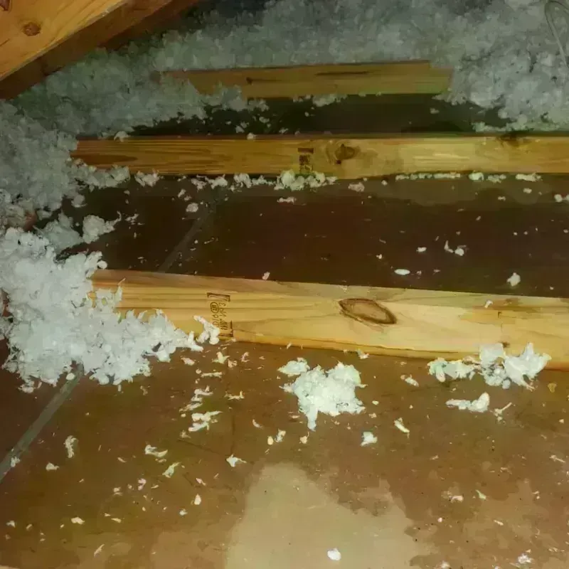 Attic Water Damage in Hadley, MA